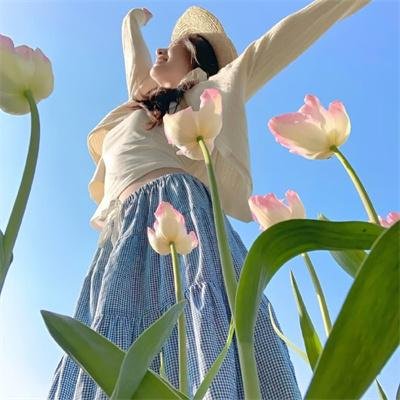 翼·年代记第二季 在线观看